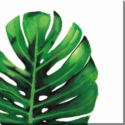 Картина маслом Монстера №8