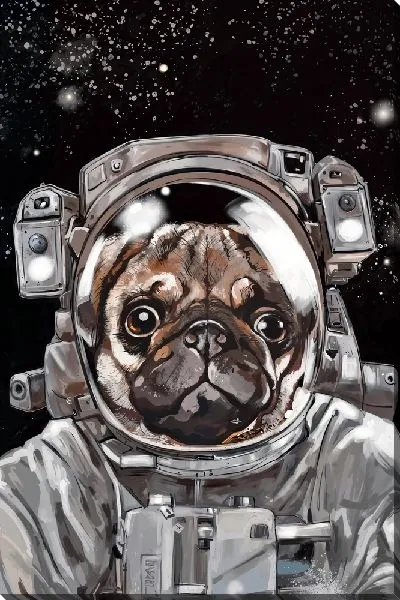 Постер Мопс-космонавт