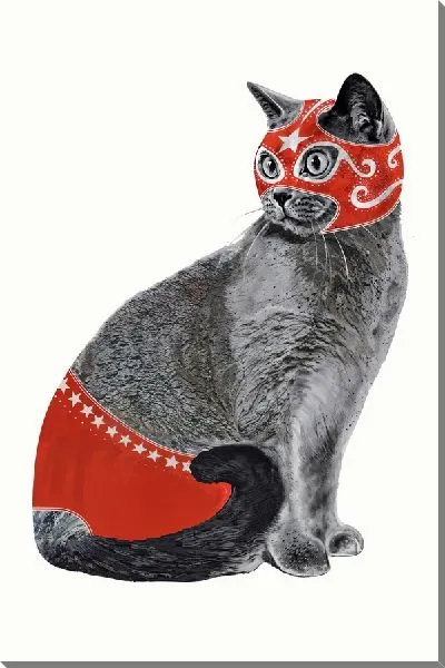 Постер Супер кот