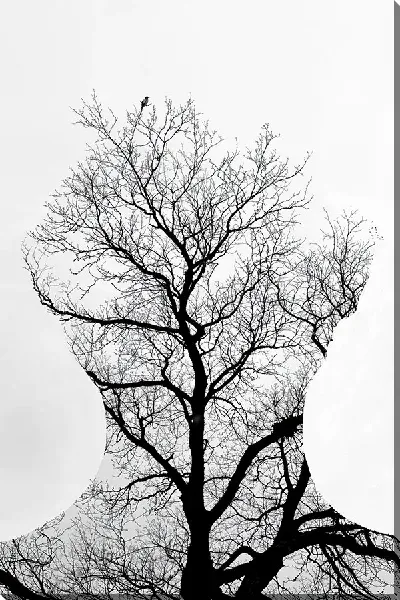 Картина маслом Силуэт человека в виде дерева