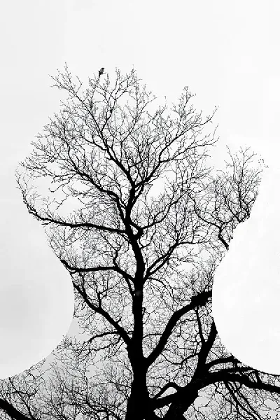 Плакат Силуэт человека в виде дерева