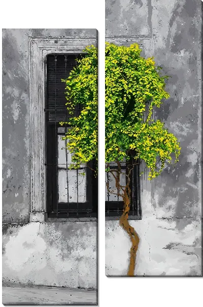Модульная картина Зеленое дерево на фоне окна