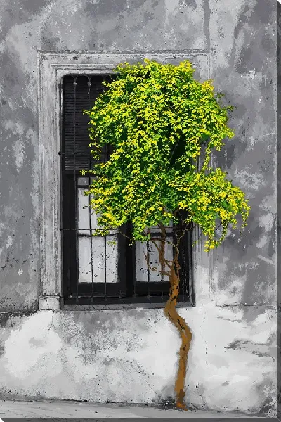 Картина маслом Зеленое дерево на фоне окна