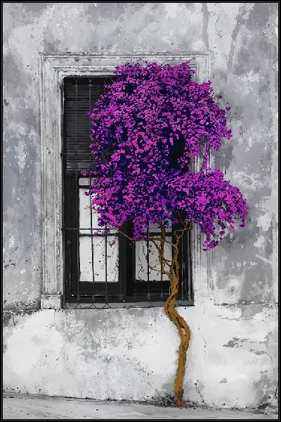 картина