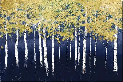 Постер Березы с золотыми кронами