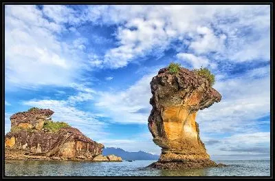 Картина Национальный парк в Малайзии