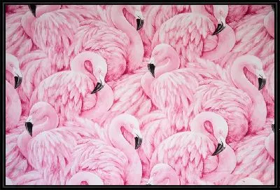 Стая розовых фламинго