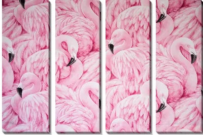 Стая розовых фламинго