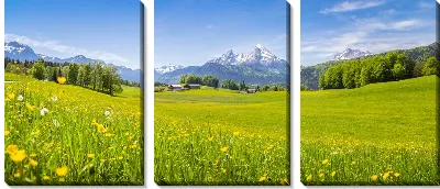 Модульная картина Панорама Альп