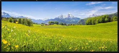 Картина Панорама Альп