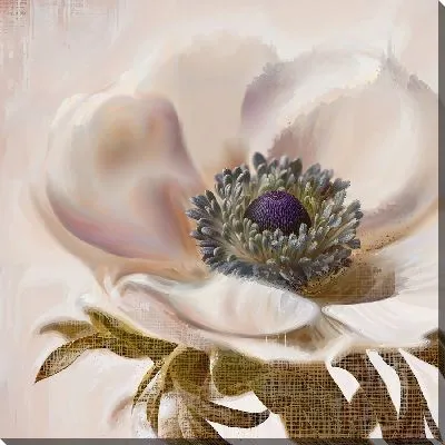 Картина маслом Цветок анемона