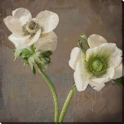 Картина маслом Два цветка анемона