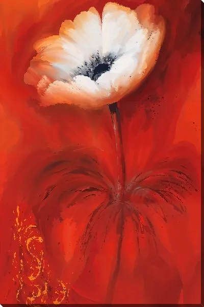 Картина маслом Белый анемон на красном фоне