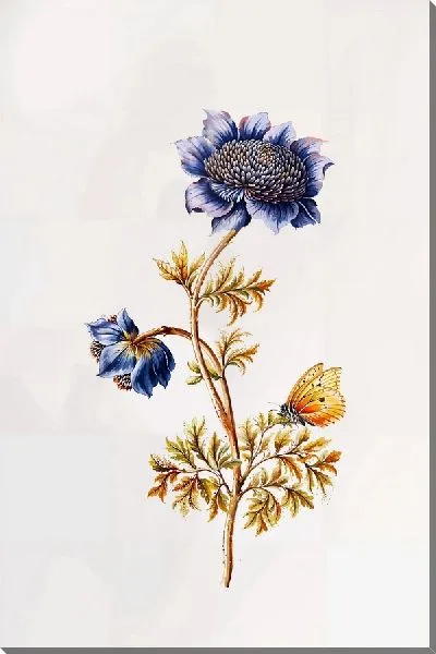 Картина маслом Анемон и насекомые