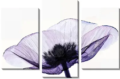 Модульная картина Макро прозрачного анемона