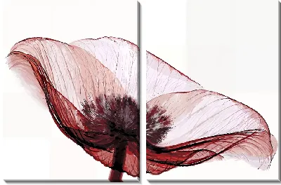 Модульная картина Макро прозрачного анемона №2