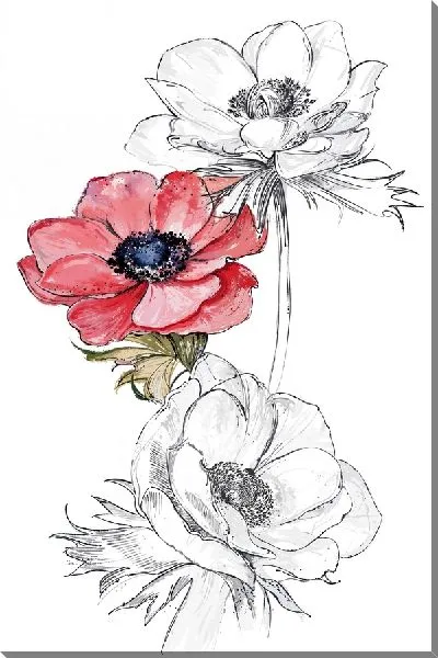 Картина маслом Контуры анемона №2