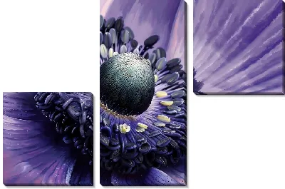 Модульная картина Макро анемон №5