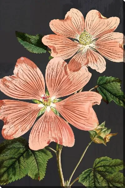 Картина маслом Композиция с анемонами №10