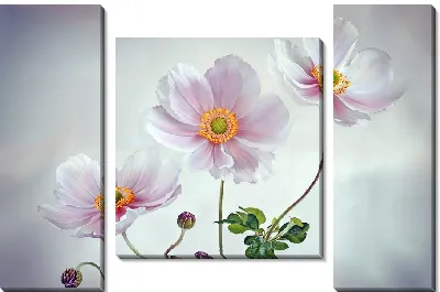 Модульная картина Три анемона