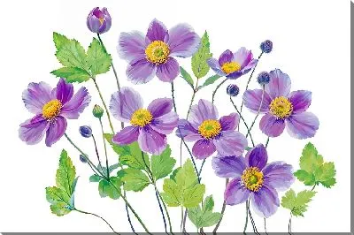 Картина маслом Анемоны на белом фоне с листьями
