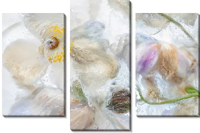 Модульная картина Анемоны под водой