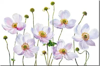 Картина маслом Анемоны №13