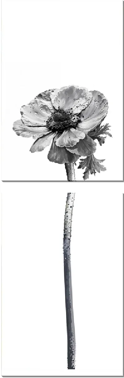 Модульная картина Черно-белый анемон