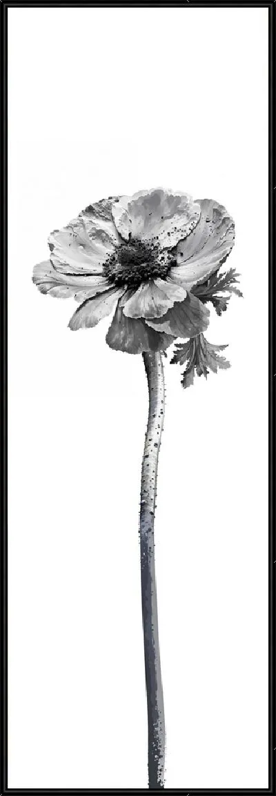 Картина Черно-белый анемон