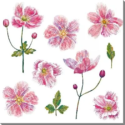 Картина маслом Цветки анемона на белом фоне