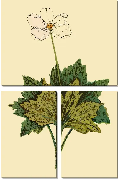 Модульная картина Стебель анемона с листьями