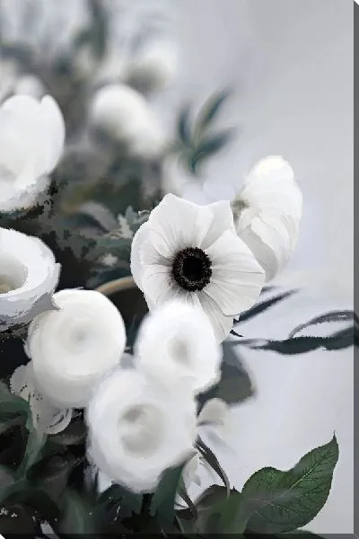 Постер Белые анемоны №6
