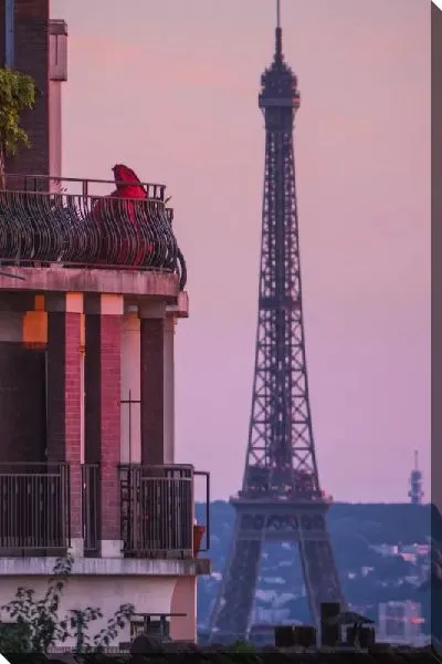 Постер Балкон на фоне Эйфелевой башни