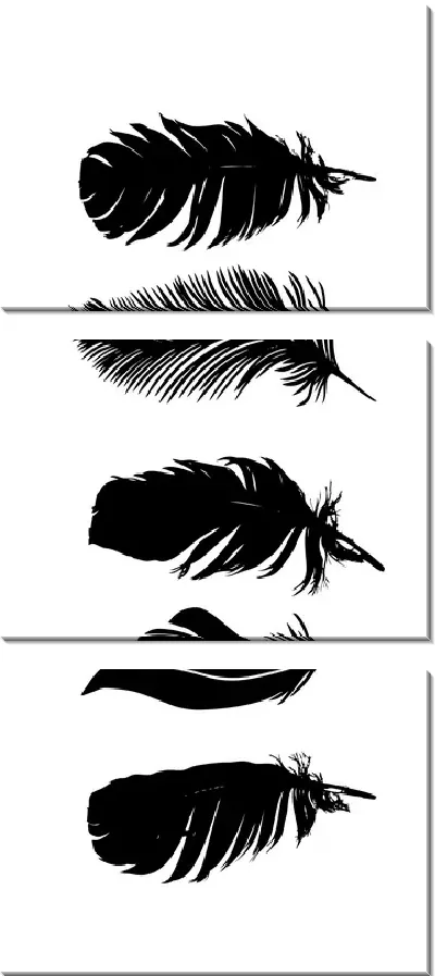 Модульная картина Черные перья