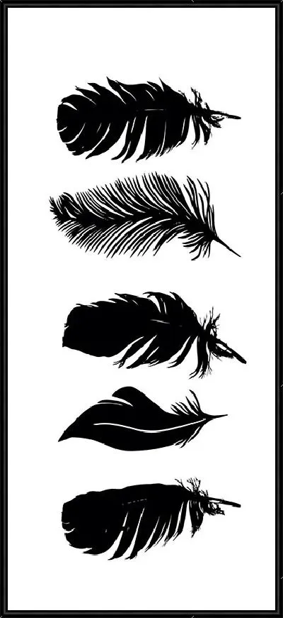Картина Черные перья