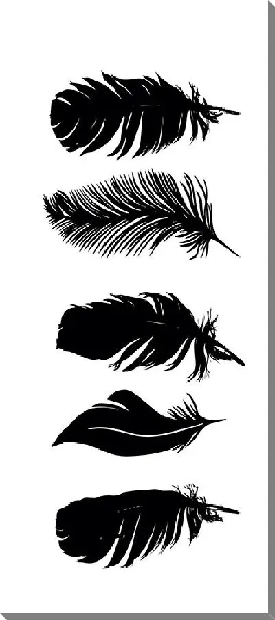 Постер Черные перья