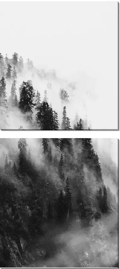 Модульная картина Туманные горы с лесом