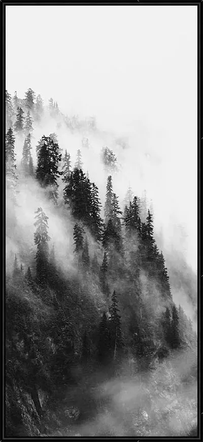 Картина Туманные горы с лесом