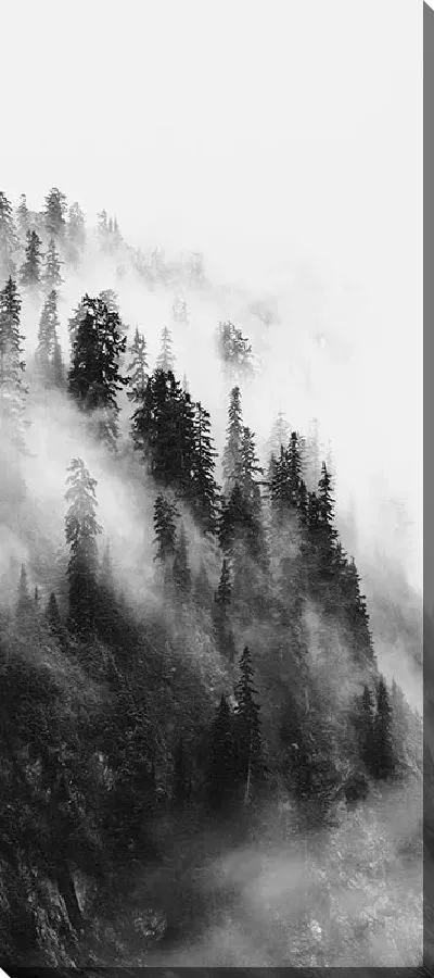 Постер Туманные горы с лесом