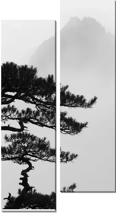 Модульная картина Сосна на фоне туманной горы