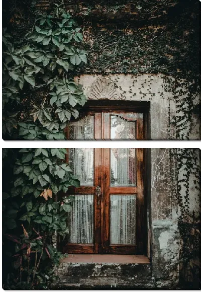 картина