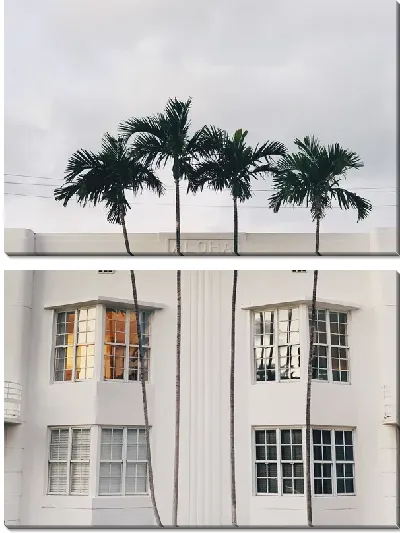 Модульная картина Окно с пальмами