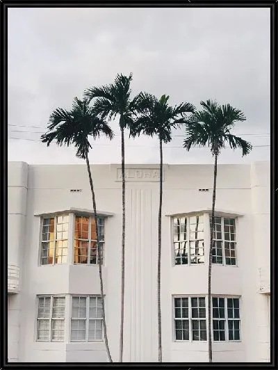 Картина Окно с пальмами