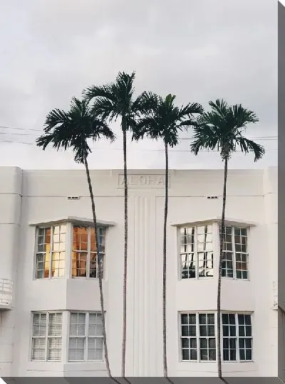 Постер Окно с пальмами