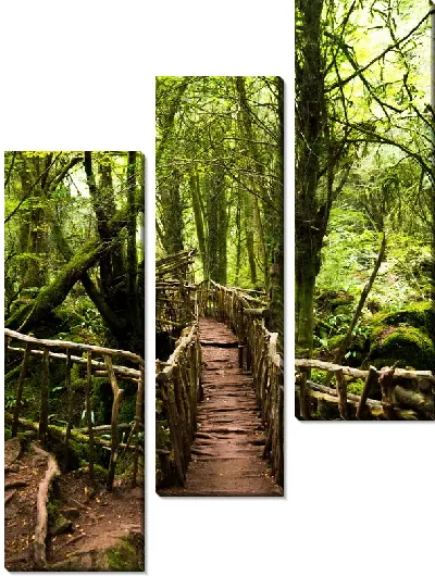 Модульная картина Пешеходный деревянный настил в джунглях