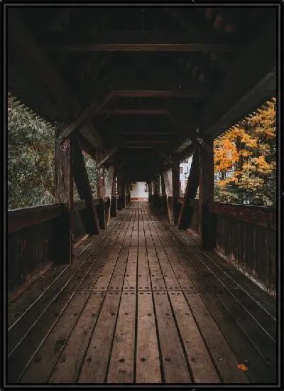 Картина Крытый, пешеходный мост