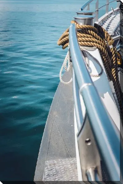 Постер На палубе