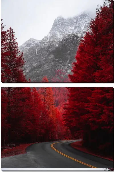 картина