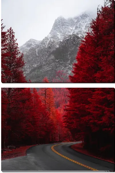 картина