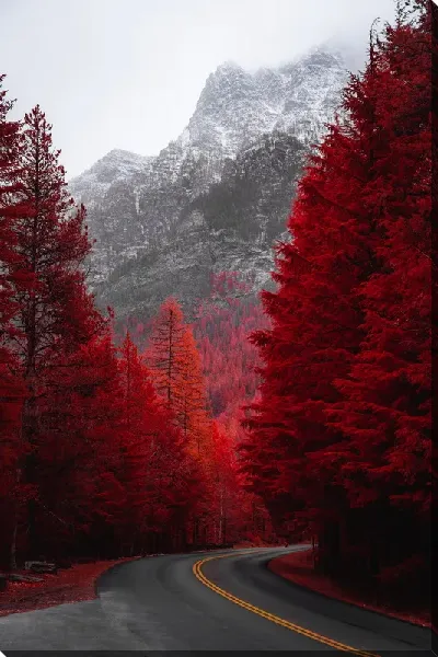 картина